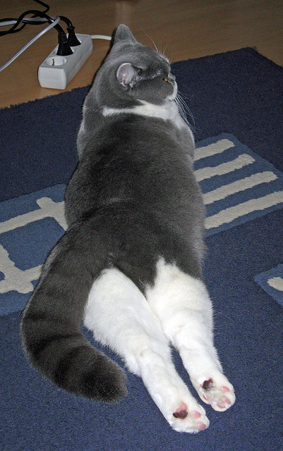 JIUYOU.COM-以“足球+生态文明”理念打造绿色青训新样板，青少年足球要营造一个好的大环境需要做到哪些方面