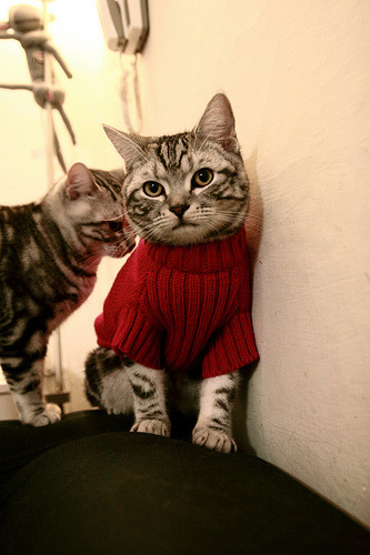 JIUYOU GAMING-传奇的欧冠“战术组合”永载史册，欧冠科普