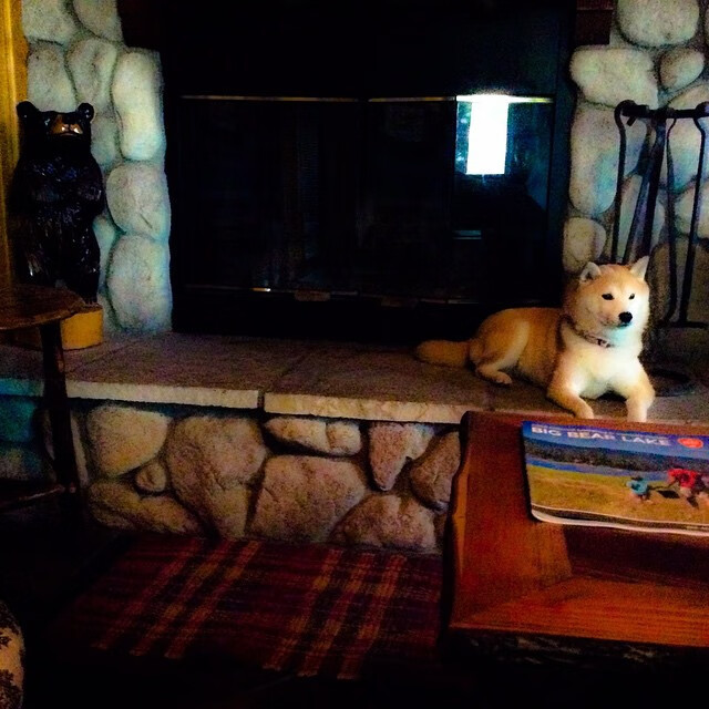 史上“爆炸反转”:谁的逆转让人难以忘怀?,爆炸是不是反冲的一种