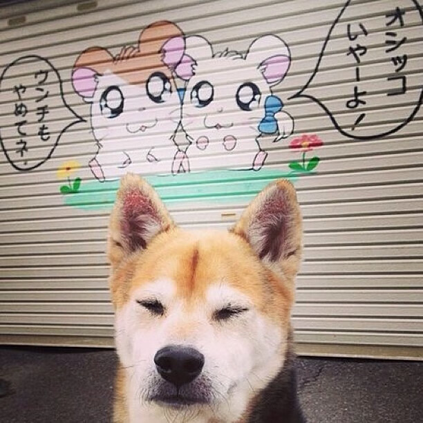 九游游戏中心官网-未来联盟：智能裁判、虚拟竞技的最新探索与实践