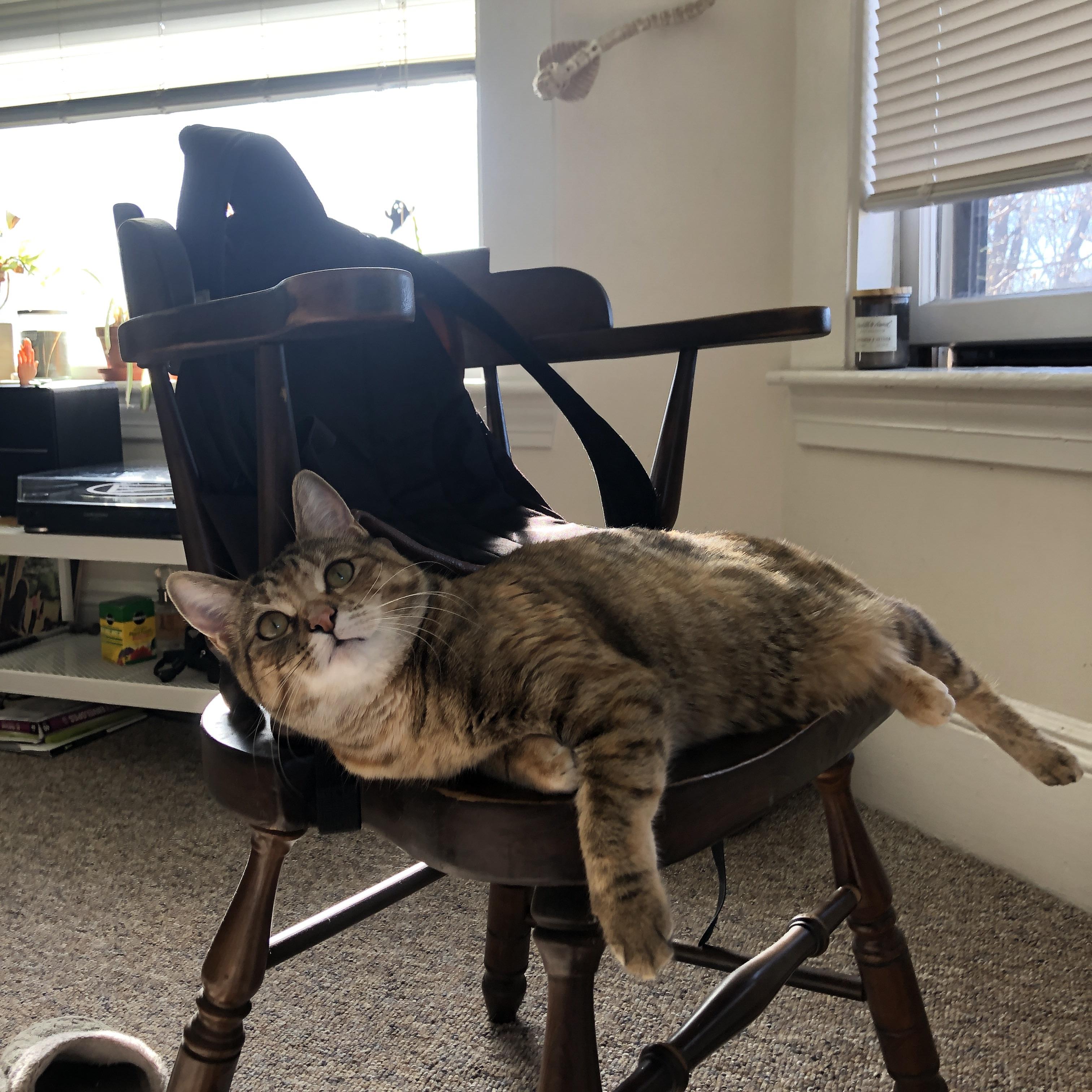 上海海港年轻球员崭露头角,上海海港队员2021