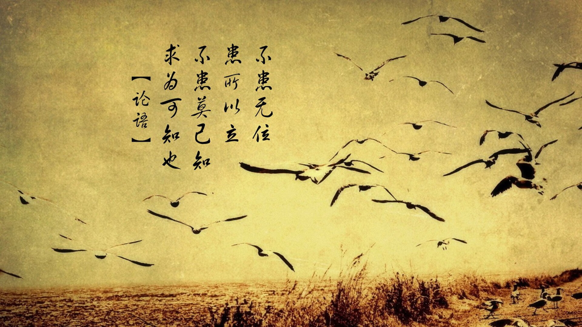 南安普顿与传统强队竞争,力求突破,南安普顿介绍