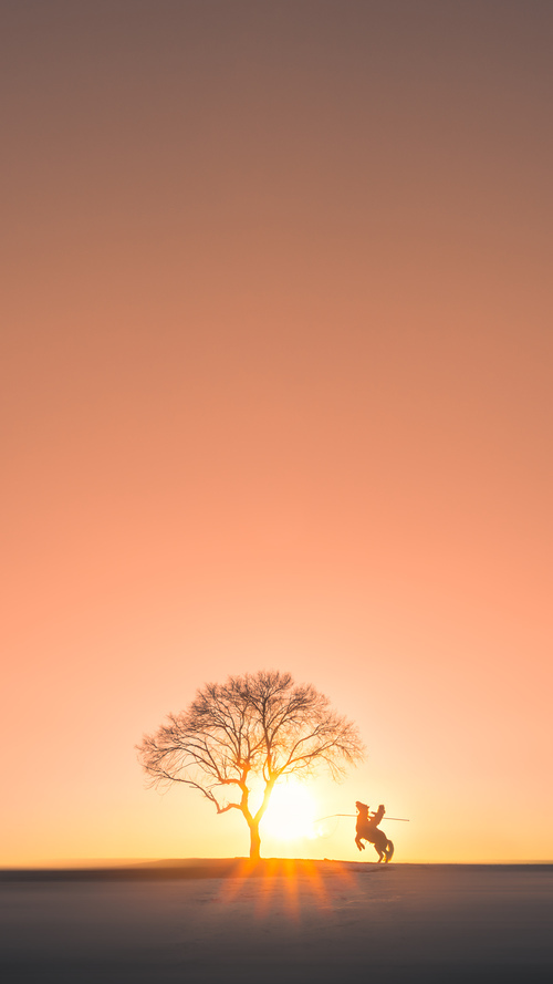 九游登录入口-江苏苏宁遭遇连败，积分榜排名明显下滑，苏宁积分平台
