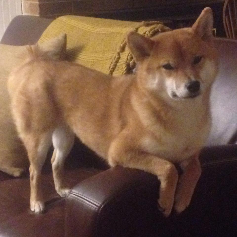 九游sports-雷霆队快船队焦点战告负，近期状态不佳，雷霆对快船