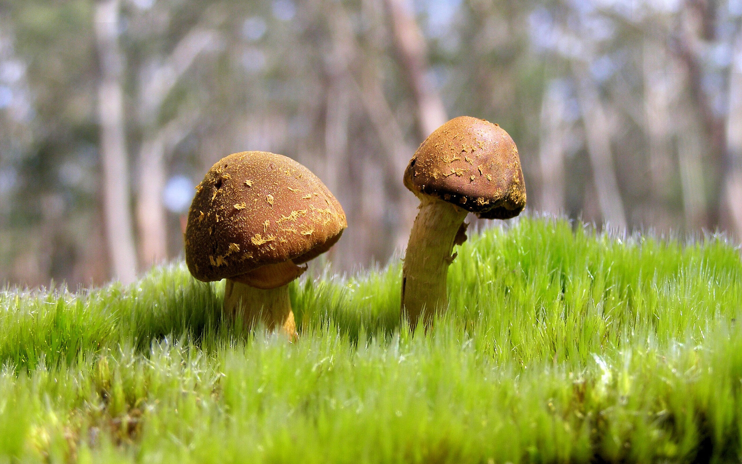 马德里竞技大胜,锁定欧冠四强席位,马德里竞技欧冠冠军2020