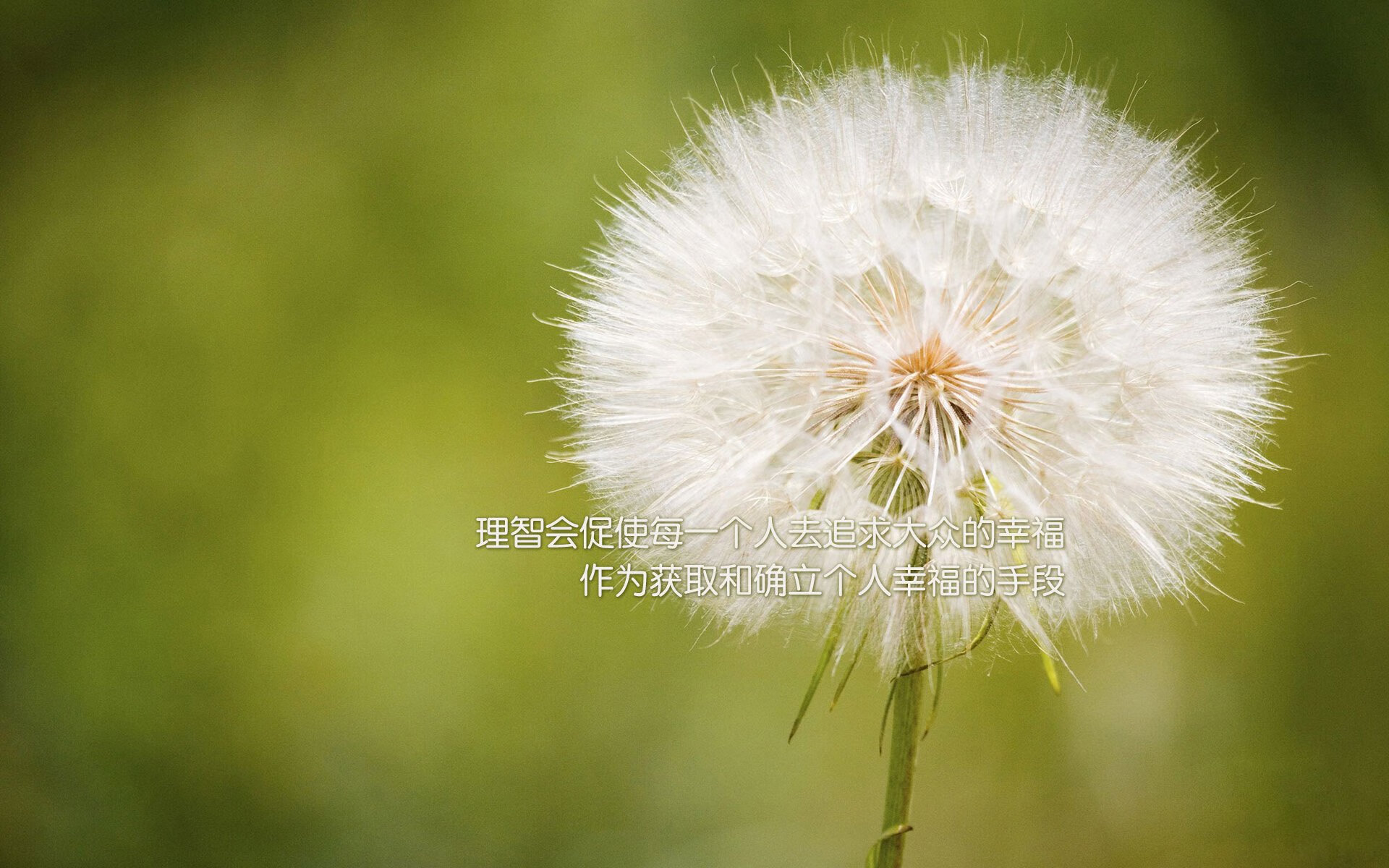 球队文化传承:历史悠久豪门的精神密码,球队文化包括什么