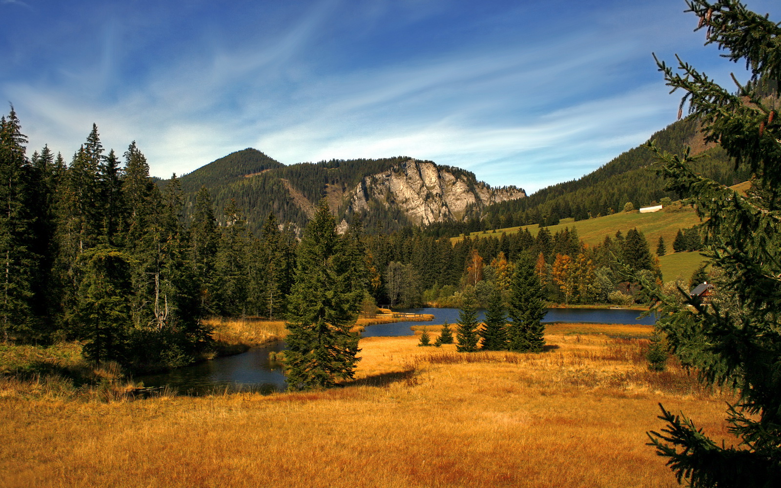 CBA联赛推动篮球文化交流促进体育合作,cba联赛合作伙伴