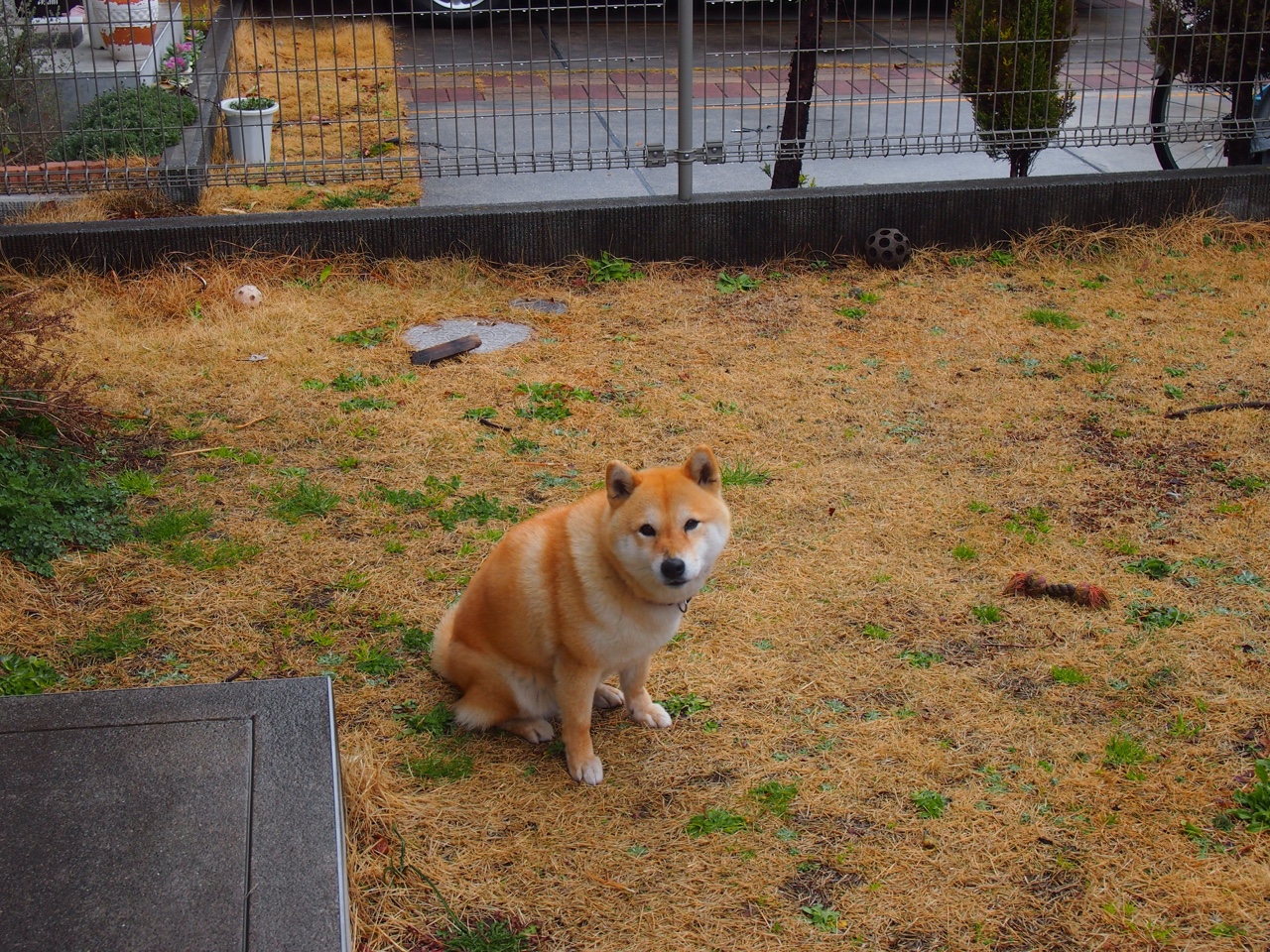 体育职业资格认证新标准正式实施,体育职业资格证书查询官网