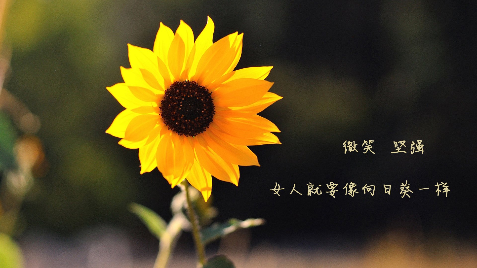 九游娱乐-冲刺速度提升，成绩刷新个人纪录，冲刺阶段如何提分