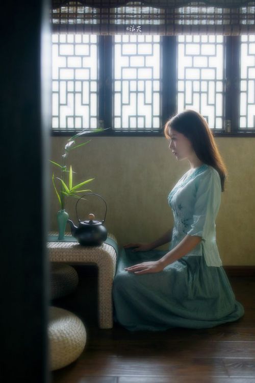 沃尔夫斯堡围绕中场核心构建战术体系,沃尔夫斯堡队