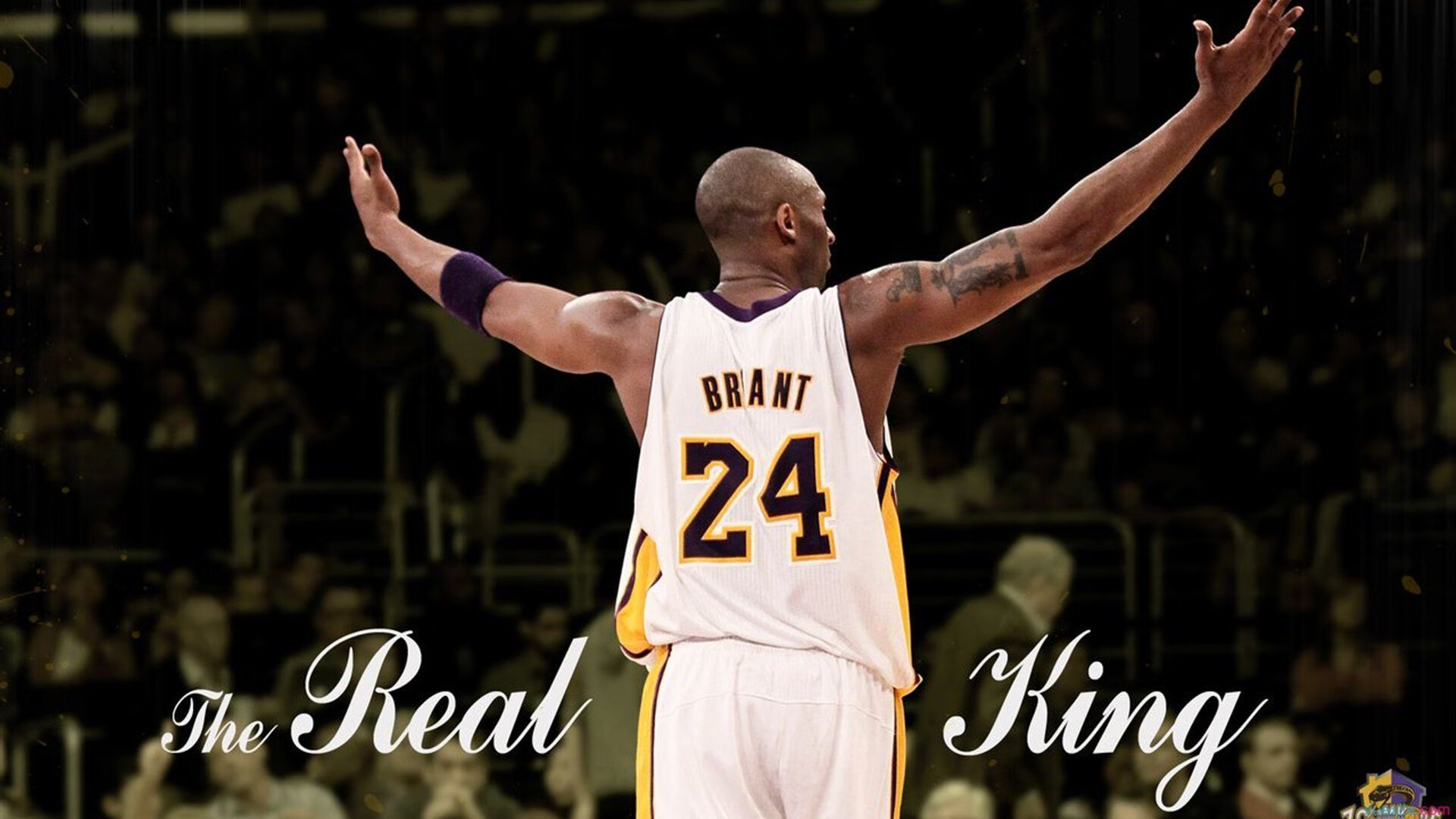 澳大利亚队迎战国际乒联混合团体世界杯:表现亮眼但仍有提升空间