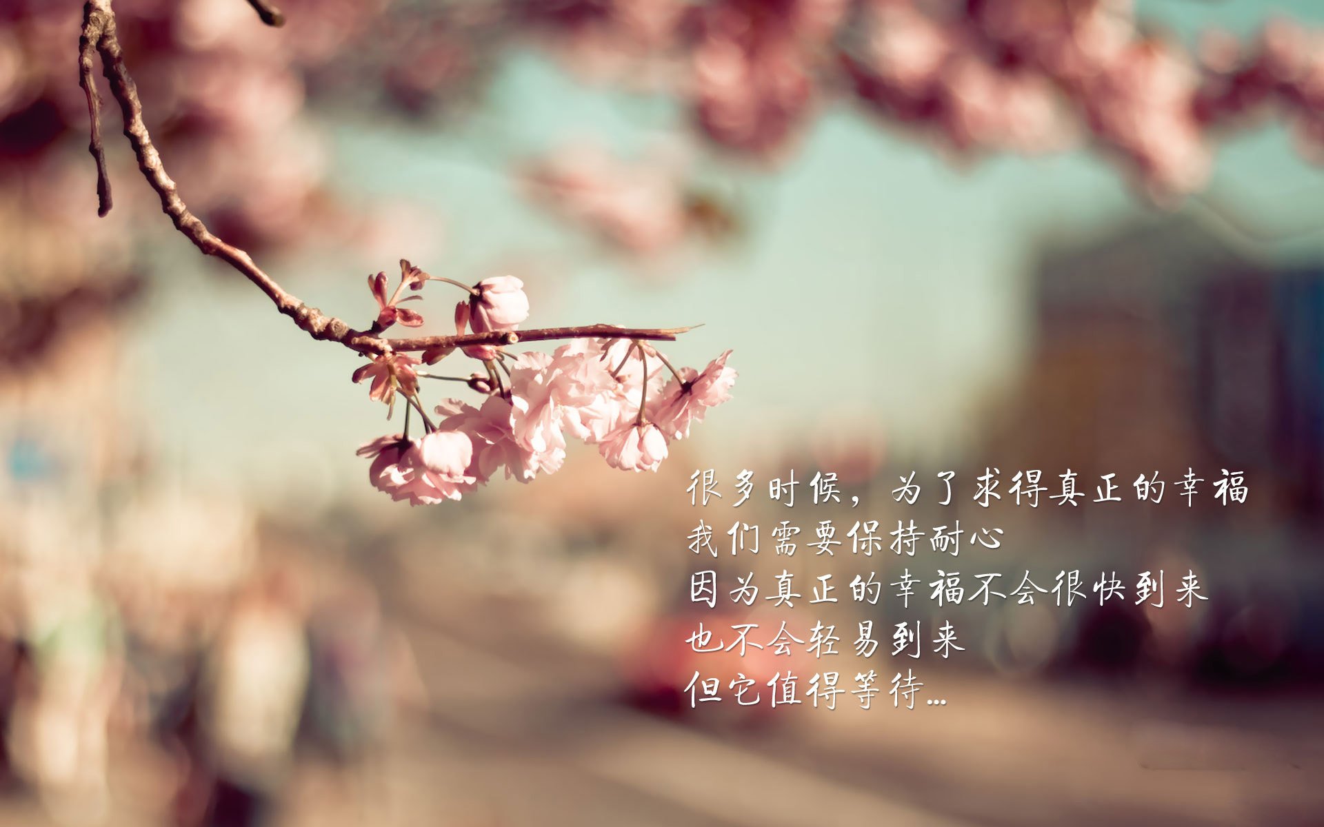 世界杯激情不断:每场都精彩绝伦!,世界杯激动人心时刻