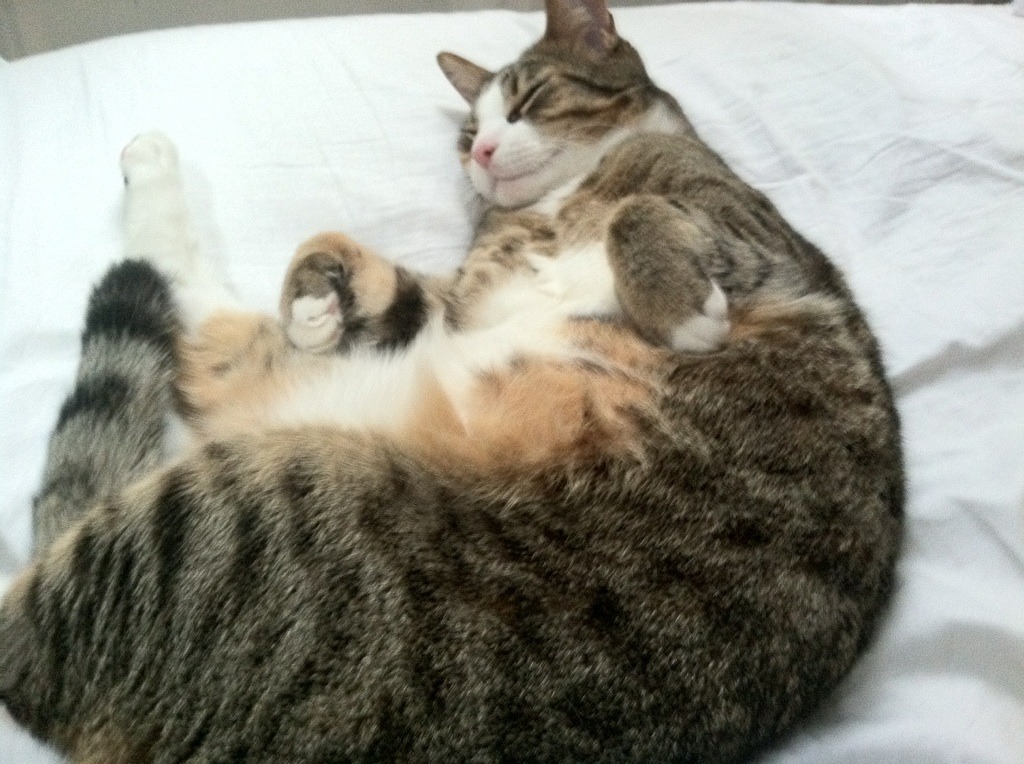 九游网页版官网入口-世界杯激动人心：每一场都令人热血沸腾！，世界杯激战正酣,我们都知道