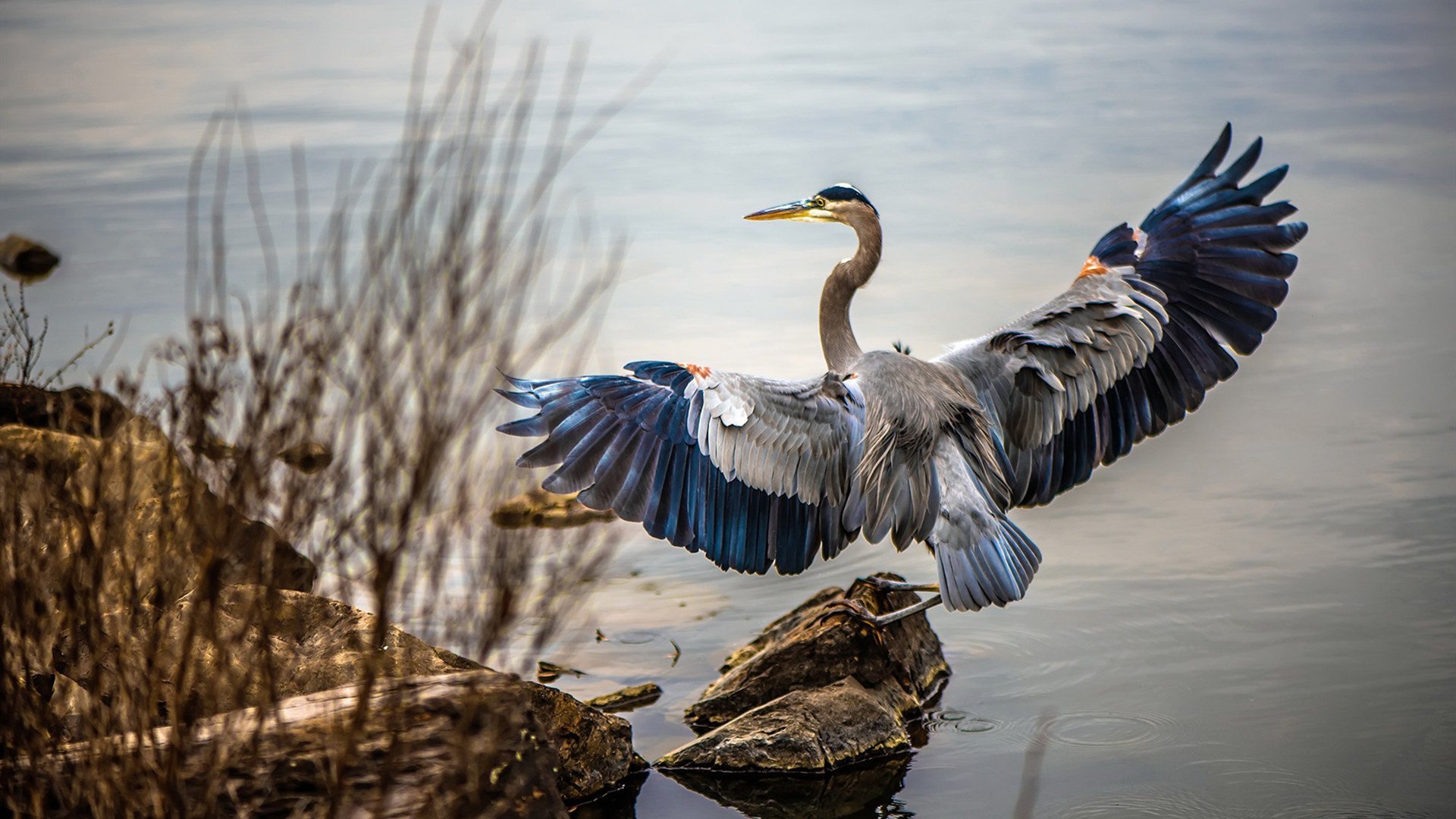 九游sports-意甲快攻秒杀：瞬间突破，精彩不断！，意甲边路快马