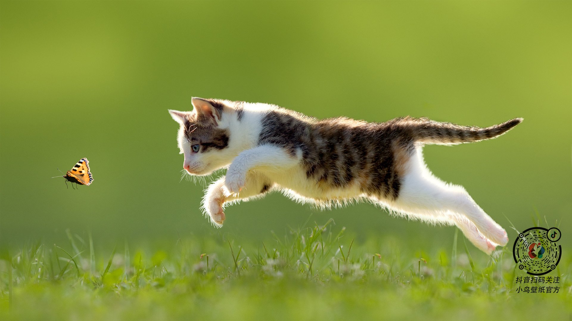 意甲联赛的资料数据库建设,意甲球队数据