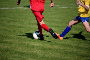 九游官网主页-男篮国家队专项安排外线射手训练增强火力输出，男篮外援