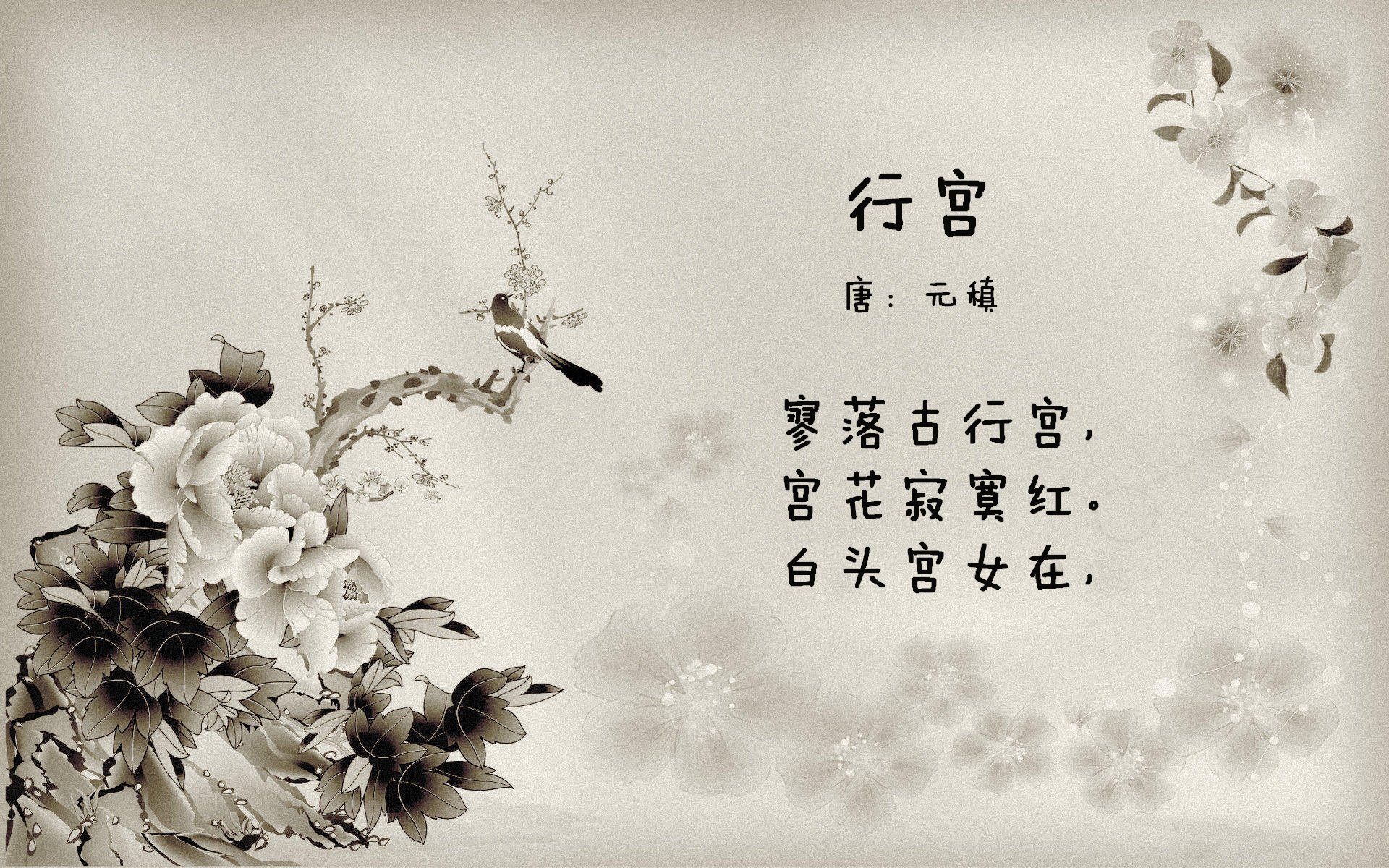 篮球训练营开营 助力青少年梦想,篮球训练营宗旨