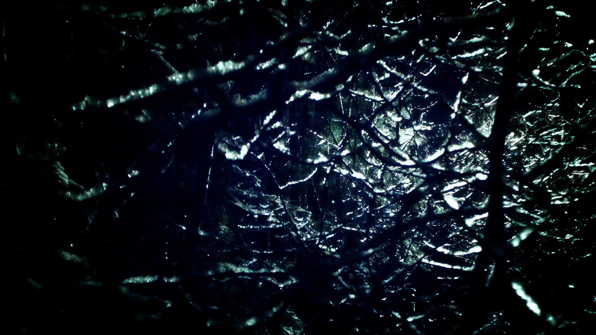 足球俱乐部青训成果展示未来可期,足球俱乐部青训营