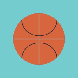 九游体育网站入口-中国篮球联赛市场竞争环境分析与预测，篮球市场现状